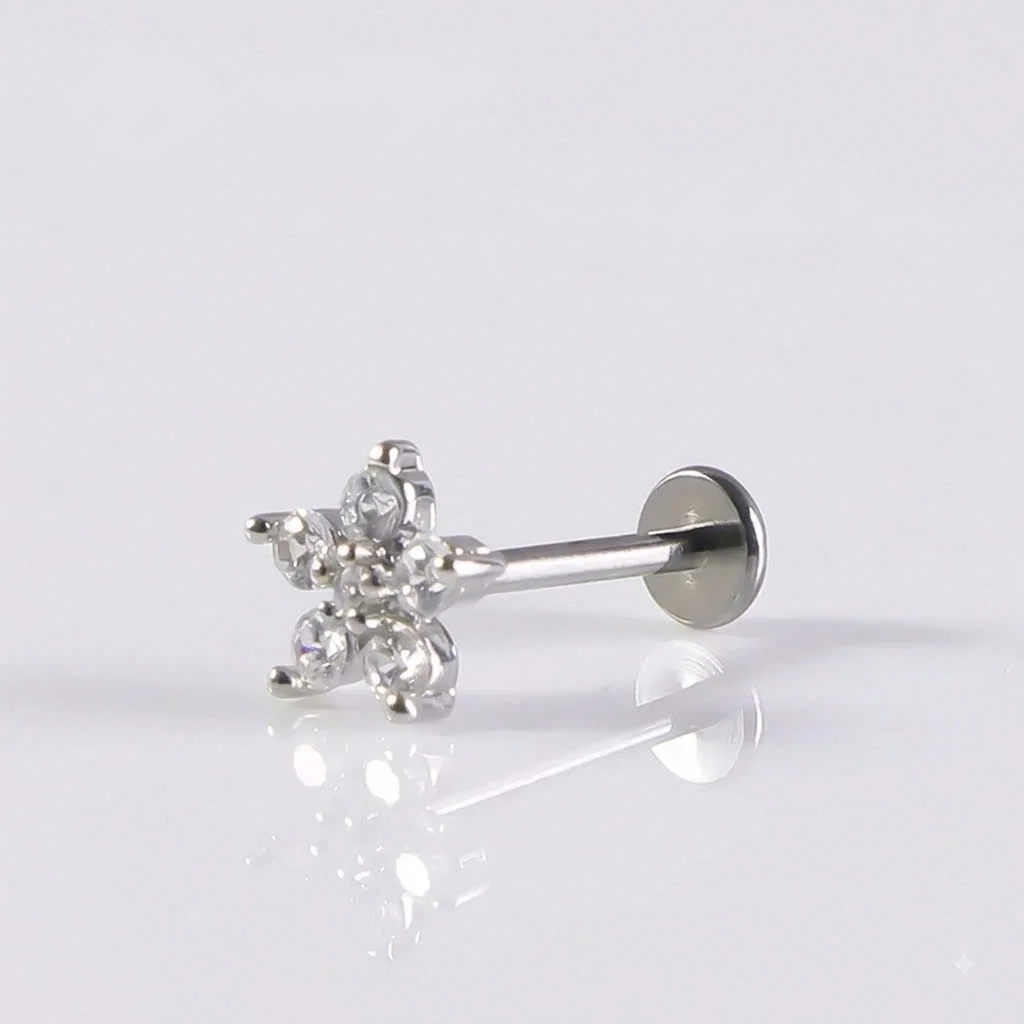 Trang sức Piercing Titan F136